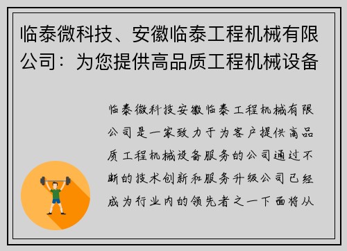 临泰微科技、安徽临泰工程机械有限公司：为您提供高品质工程机械设备服务